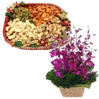 10 Purple Orchids Basket and 1/2 Kg Assorted Dry Fruits. Online Rakhi Gifts Delivery in Hyderabad