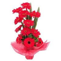 Send Red Gerbera Basket 12 Flowers to Secunderabad. Valentine's Day Flowers to Hyderabad